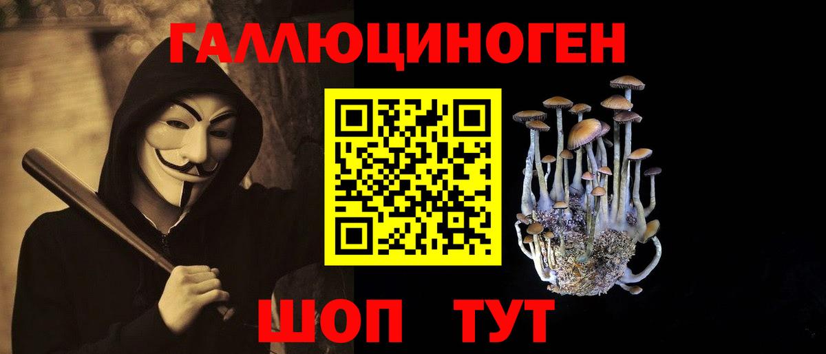 Псилоцибиновые грибы Magic Shrooms Карталы