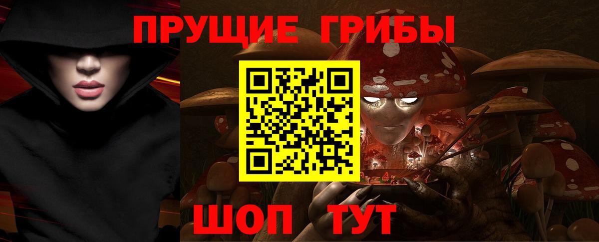 Псилоцибиновые грибы Magic Shrooms  Галлюциногенные грибы мицелий  Вход с VPN  Карталы 